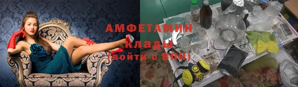 spice Богородицк