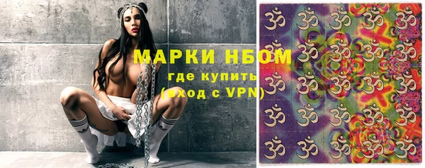 трава Белокуриха