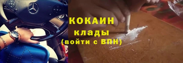 дурь Богданович
