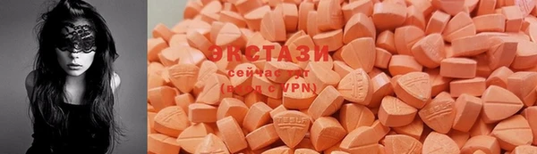 spice Богородицк