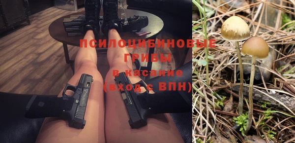 дурь Богданович