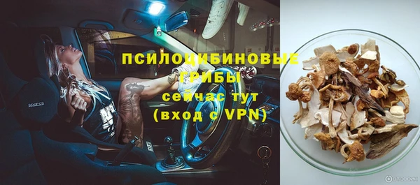 гидра Белоозёрский
